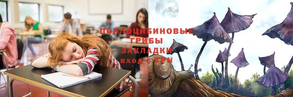 кокс Костерёво
