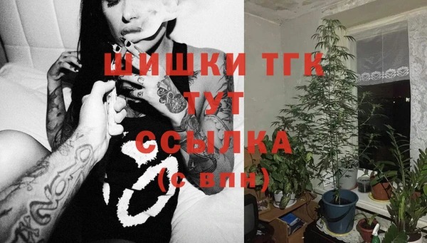 первитин Краснослободск