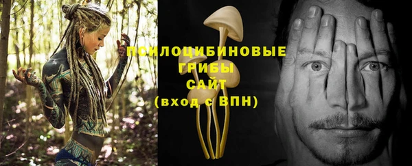 меф Корсаков